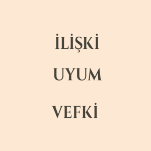 Sevgiliyi Geri Döndürme