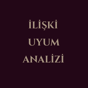İlişki Uyum Analizi