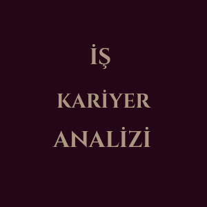 İş Kariyer Analizi