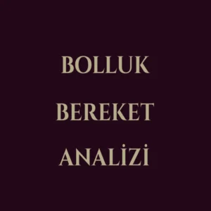 Bolluk & Bereket Enerji Analizi